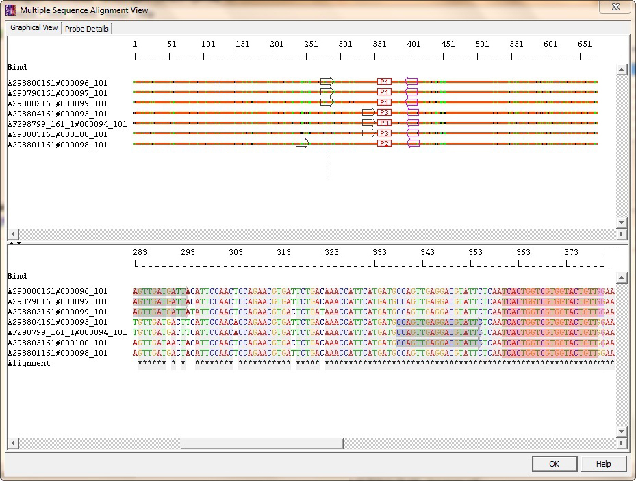 Oligo primer design software