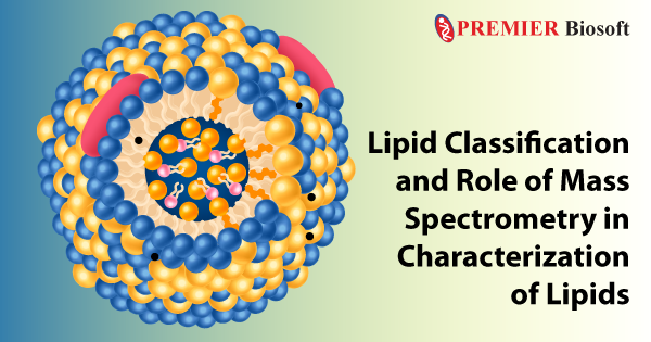 MS-based Characterization of Lipid Classes Using SimLipid®