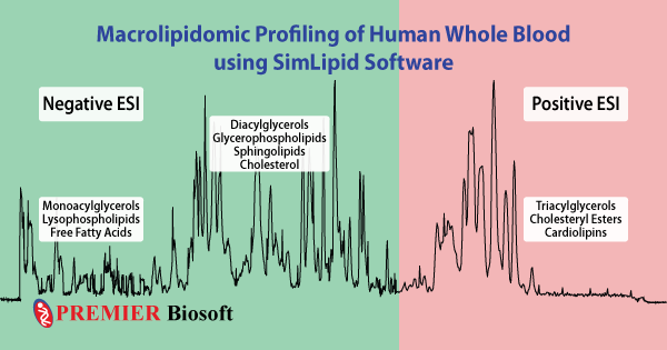 Profiling of Lipid Species with SimLipid Software