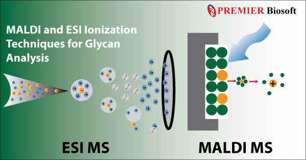 Maldi And Esi Ionization Methods With Tandem Mass Spectrometry For Glycan Analysis 9922