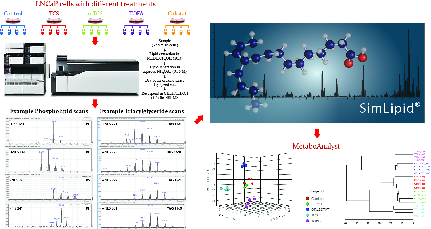 Shotgun Lipidomics of prostate cancer cells