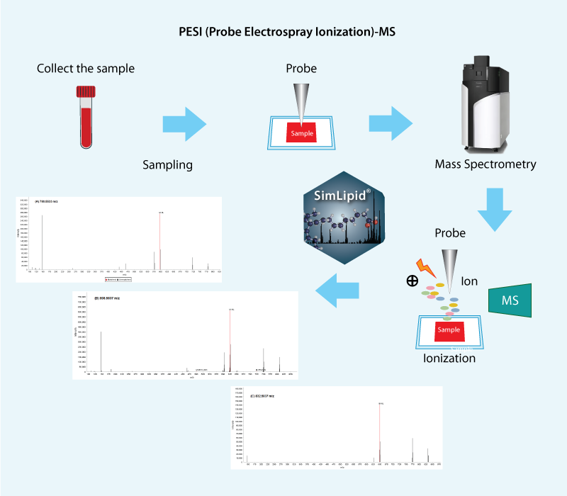 MALDI MS lipid data analysis workflow in SimLipid