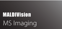 MALDIVision: MS Imaging