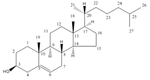Sterol Lipids - Structure of Cholestrol