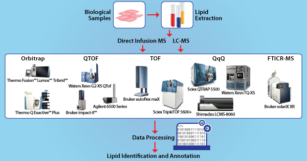 Bioinformatics Tool for Mass Spectrometry Based Lipidomics Workflows