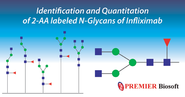 SimGlycan Software for Glycans Identification & Quantitation