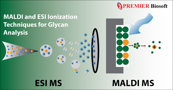 MALDI and ESI Ionization Methods with Tandem Mass Spectrometry for Glycan Analysis